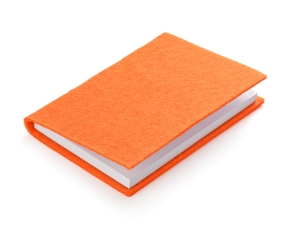 Notes FELT