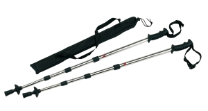 Kijki do Nordic Walking, FIT AND FUN, czarny/srebrny