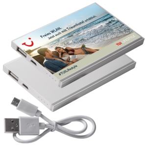 Power Bank PINEVILLE